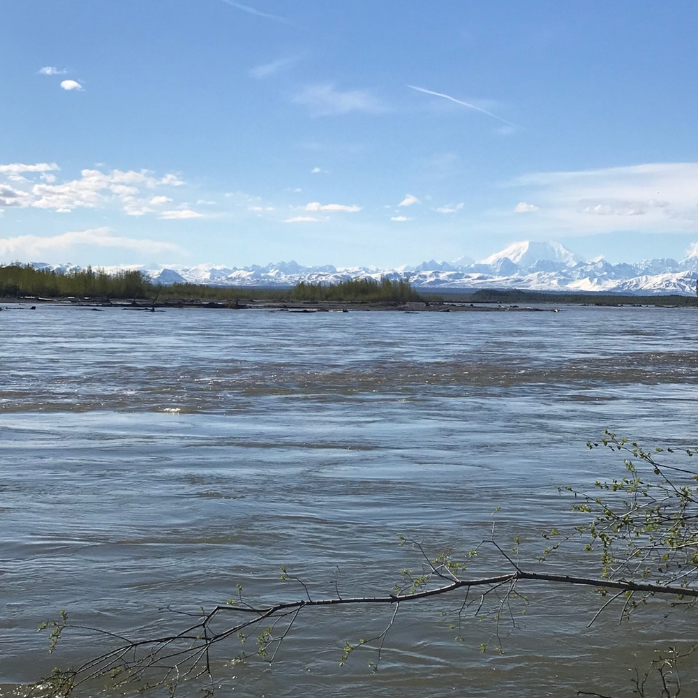 Meet your Posher, Terissa